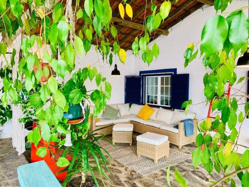 Avis House | The Oak Tree Farm - Open Layout Concept by Portus Alacer - Ideal for Families - Unplug, Unwind, and Reconnect with Nature