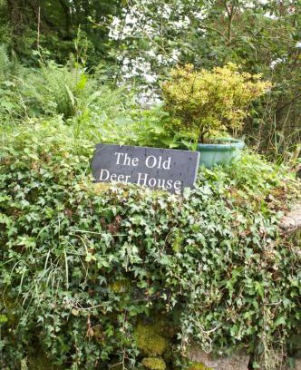 Mount Bed & Breakfast | The Old Deer House