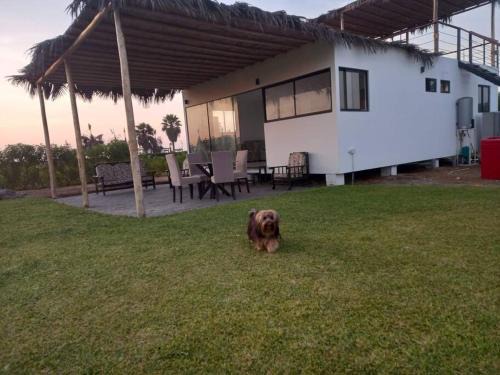 Ica House | The Pacific Cottage