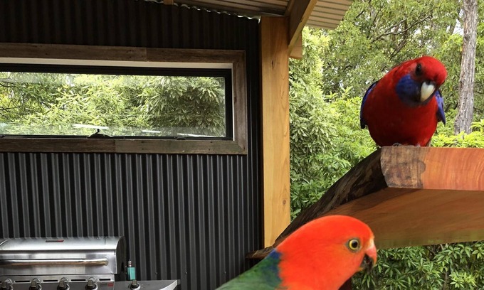 Coongulla House | THE PLACE TO BE FOR AN AWESOME HOLIDAY AT LAKE GLENMAGGIE. 5 mins from the lake