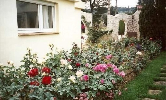 Ollioules Apartment | The quietness in the countryside, close to the sea