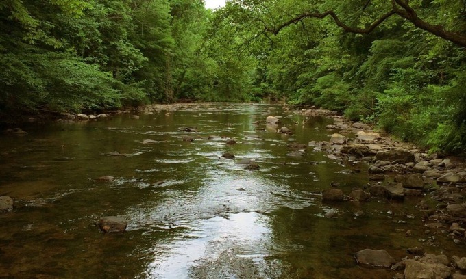 Glace Cabin | The Rock Great Secluded Cabin for Fishing Hiking Swimming on 200 Acres
