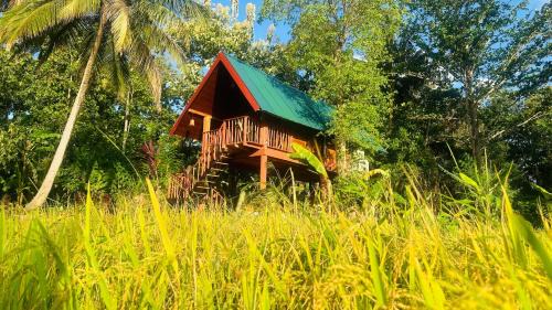 Sigiriya Bed & Breakfast | The Rock & Paddy Resort