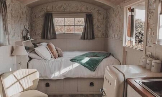 Fox Glacier Other | The Shepherds Hut with Farmland Views Fox Glacier