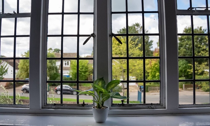 Lingfield Hotel | The Star Inn