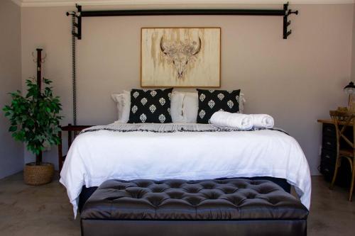 Cradock Apartment | The Studio Apartment