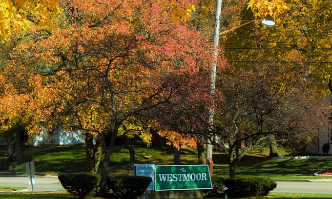 Toledo Apartment | The Westmoor