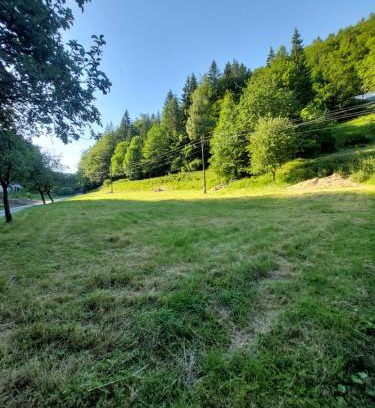 Kolarovice Other | This is only meadow