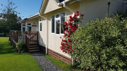 Holsworthy Resort | Thornbury Holiday Park