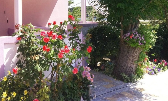 Suha Punta Apartment | Three bedroom apartment with terrace Kampor, Rab (A-4985-a)