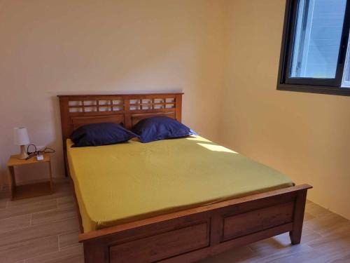 Basse Vallee House | Ti kaz Palmiste