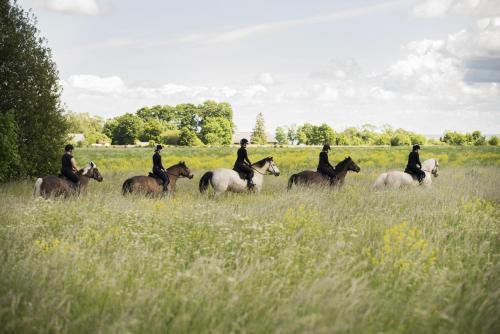 Hellamaa House | Tihuse Horsefarm B&B