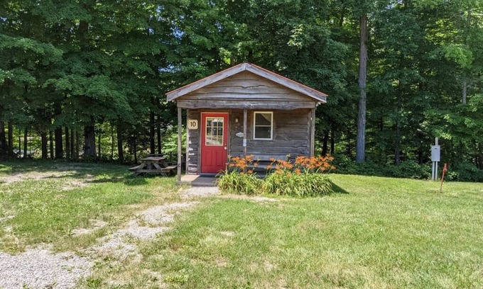 Helmsburg Cabin | "Tom T" Camping Cabin #10 | Pet Friendly