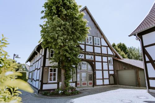 Rietberg Villa | Tonis Traumhaus
