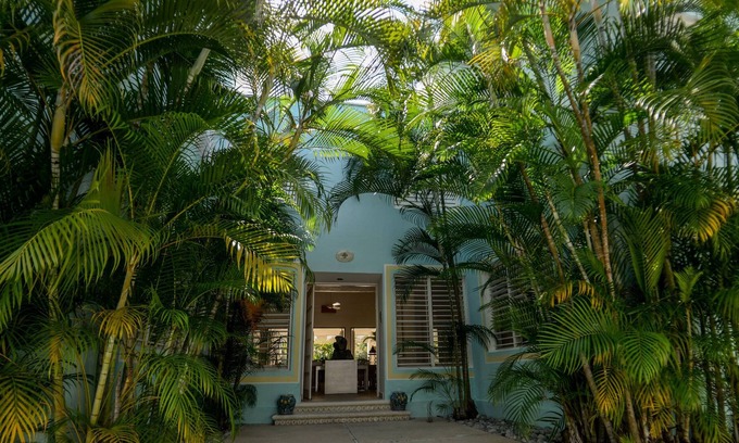 Colonia Independencia House | Traditional large house in Cozumel - Garden and Pool
