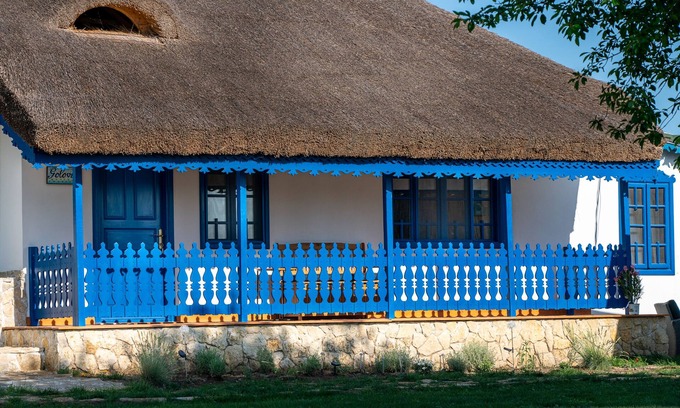 Tulcea County House | Traditional house with one bedroom apartment/fireplace and porch.