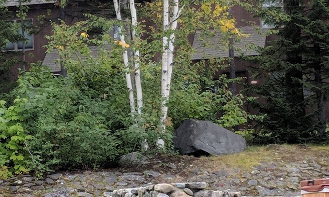 Carrabassett Valley Condo | Trailside condo. Great for families.