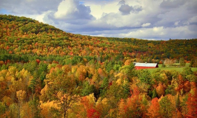 Landaff Cabin | Tranquility: Secluded White Mountains New Build Custom Log Home on 5 acres
