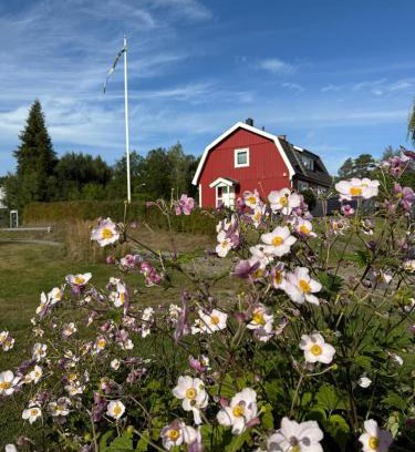 Holmsjo Villa | Traumhaus mit Seegrundstück