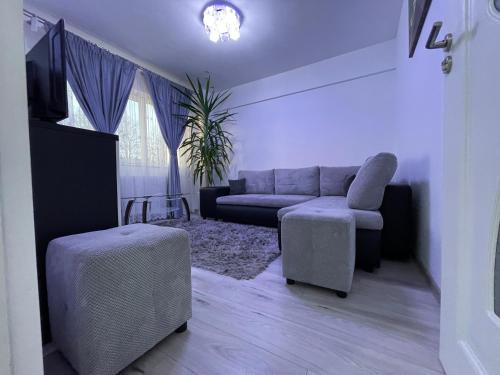 Suceava Apartment | Traveler’s Luxury Home