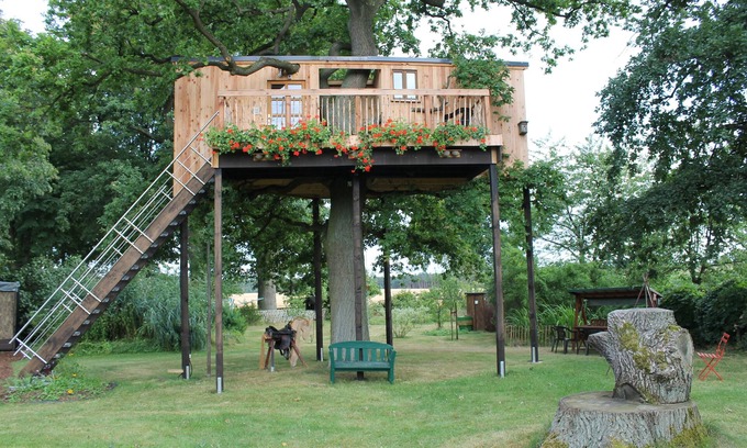 Thielitz House | Tree house in 200-year-old oak - share with all the other tree dwellers KEINEHUNDE