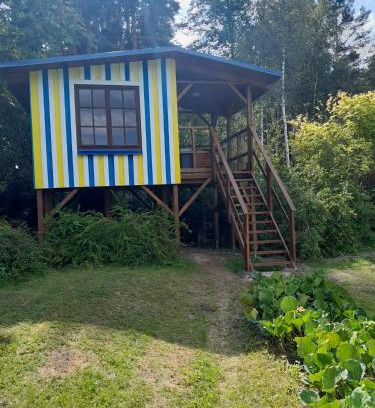 Engure Cabin | Tree House Fluffy Horns - Namiņš Kokos Pūkainie Ragi