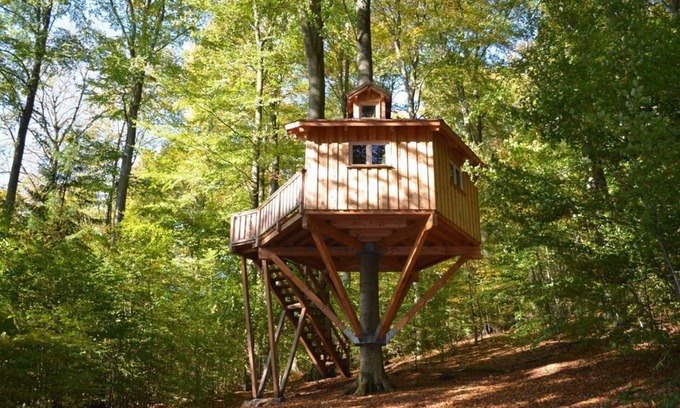 Solling Apartment | Tree house Kobel, living/sleeping room - Baumhaushotel Solling