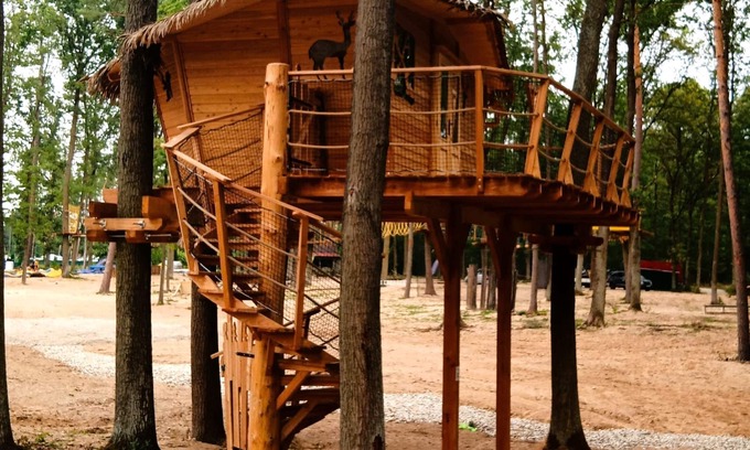 Hradec Kralove House | Treehouse 1 by Interhome