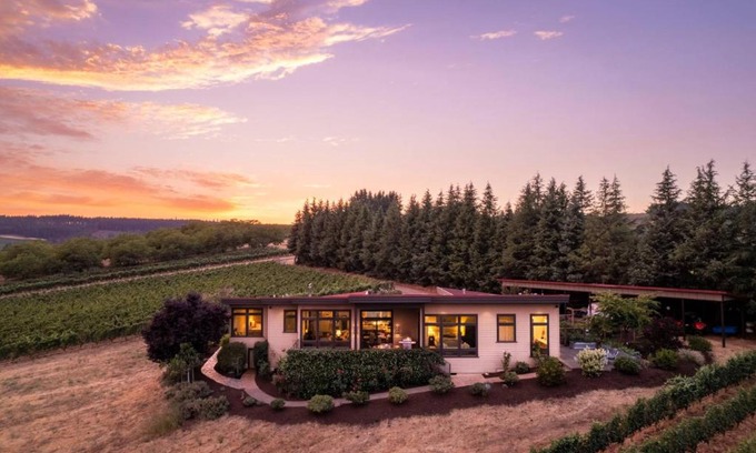 Dundee House | Trellis at Baptista Maresh Vineyard