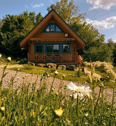 Wapienne House | Tu W Dolinie