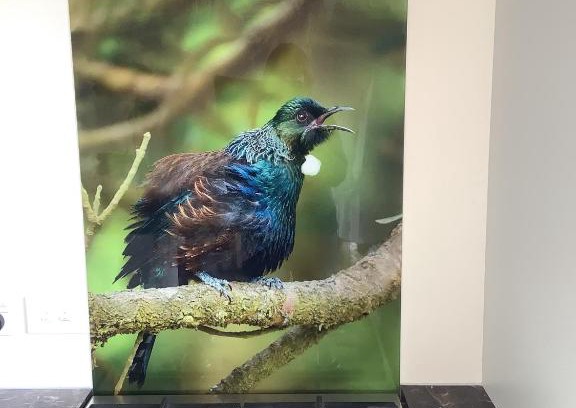 Hampden House | Tui Cottage