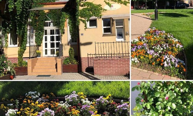Szolnok Bed & Breakfast | Tulipán Villa Panzió