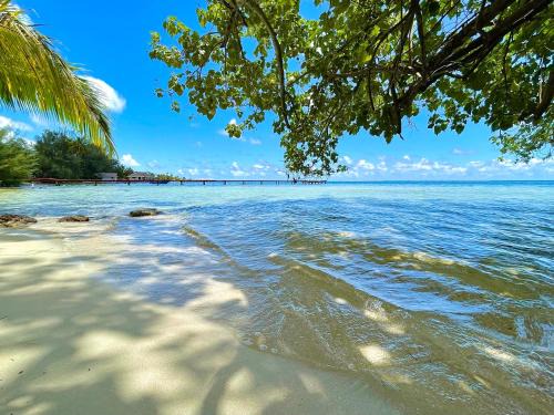 Maharepa Villa | Turia's Beach Villa