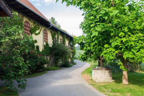 Zgornja Kungota Apartment | Turistična kmetija Vrezner Apartment