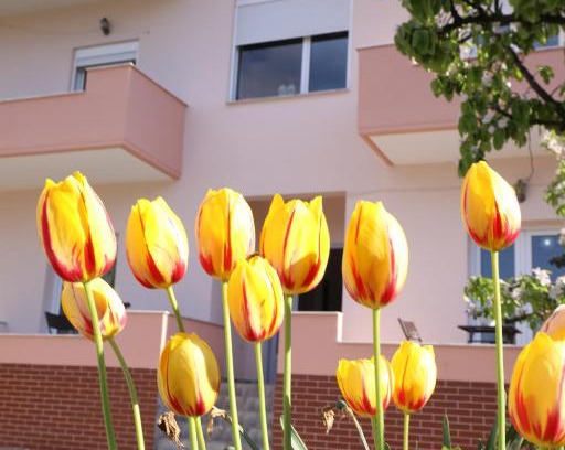 Piskupat House | Turka Lake House