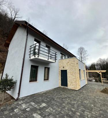 Valiug House | Twin Villa1
