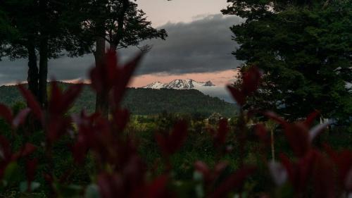 Ohakune Bed & Breakfast | Two Rivers Ohakune - Boutique Bed and Breakfast