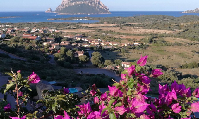Porto San Paolo Apartment | Two-room apartment with sea view, swimming pool and relax
