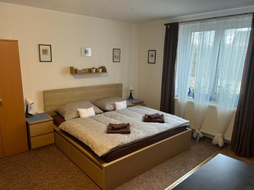 Rozsochy Apartment | Ubytování Rozsochy