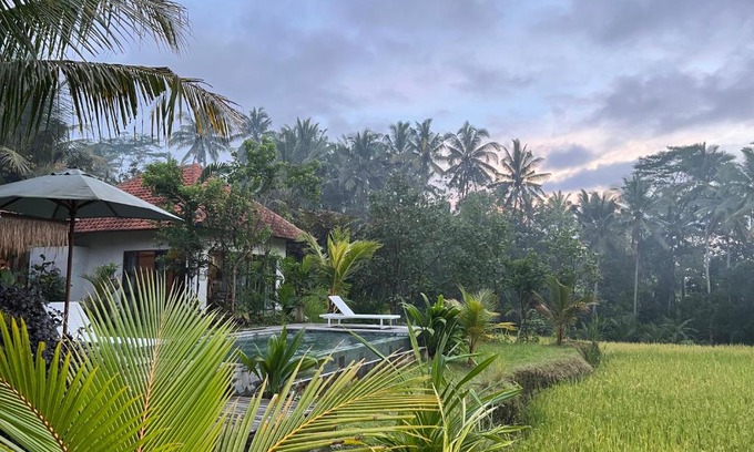 Petak Villa | Uma Mupu Retreat
