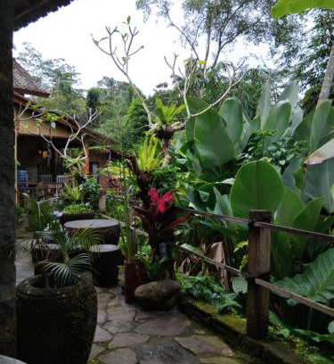 Tegallalang House | Umah mimpi
