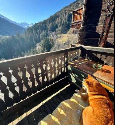 Lauenen Bei Gstaad Ski Chalet | Un nid au paradis - Chalet traditionnel avec beaucoup de cachet