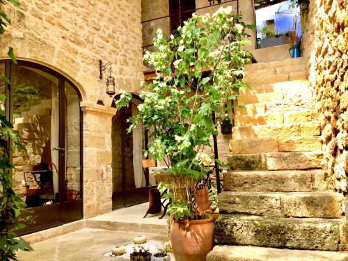 Ansouis Bed & Breakfast | Un Patio en Luberon