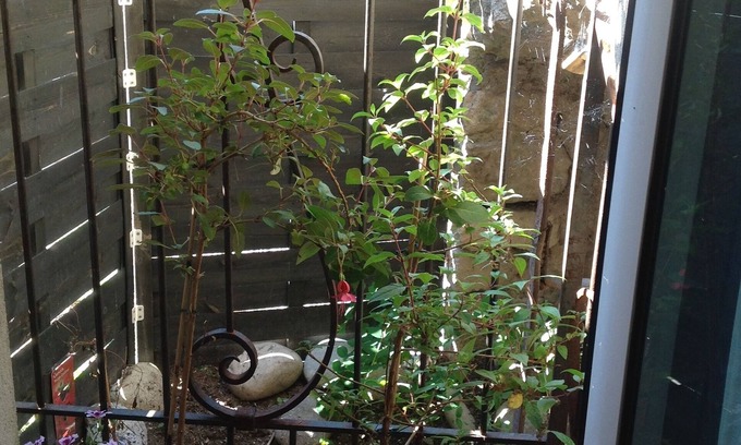 Soyons Apartment | Unusual troglodytede charm