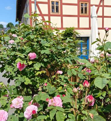 Lichtenhain House | Urlaub im 200 Jahre alten Fachwerkhaus