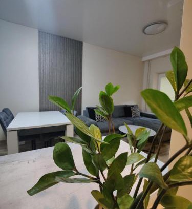 Druskininkai Apartment | V15 Apartment