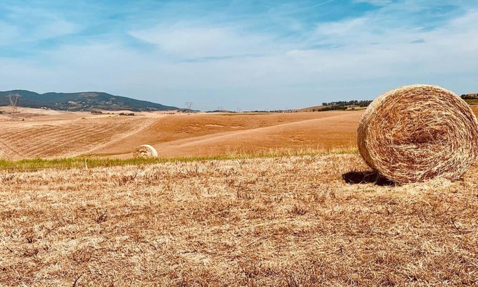 Orciano Pisano Apartment | Vacanze sulle colline Toscane ad un passo dal mare