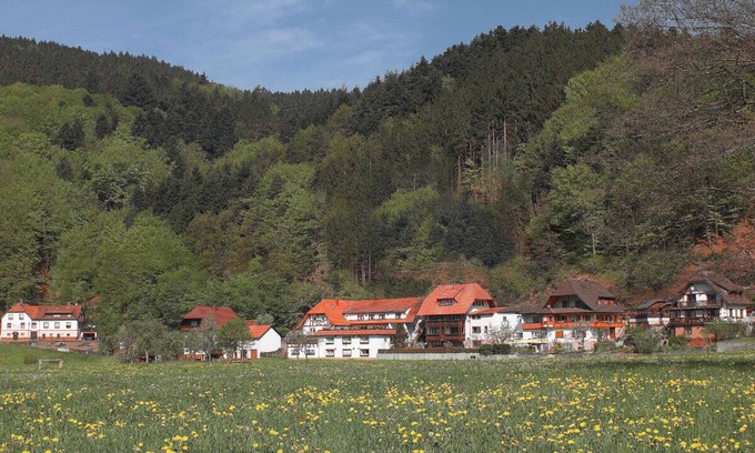 Winden im Elztal Apartment | Vacation apartment at the Rain in the southern Black Forest - top equipment