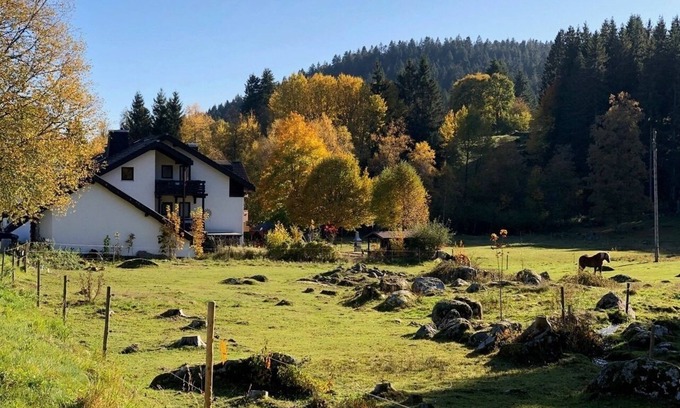 Blasiwald Apartment | Vacation apartment/apartment for 4 guests with 43m² in Schluchsee (268609)