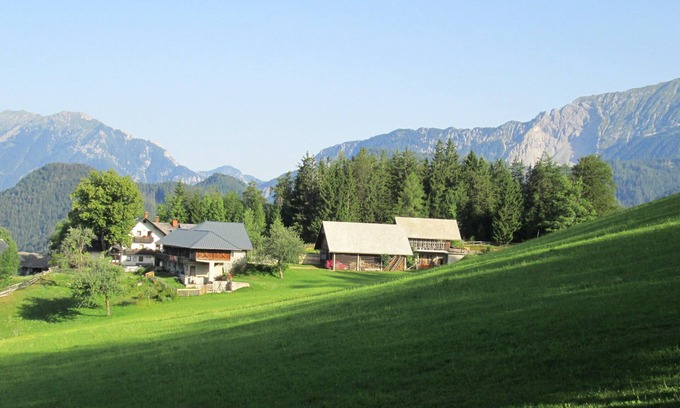 Trzic Apartment | Vacation apartment - mountain farm "Pr Tic" 1050m. Nature, peace, air! 25 km from Bled